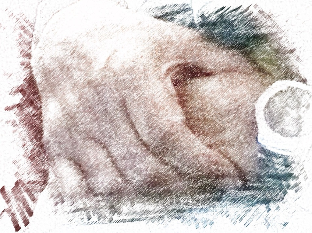DAU